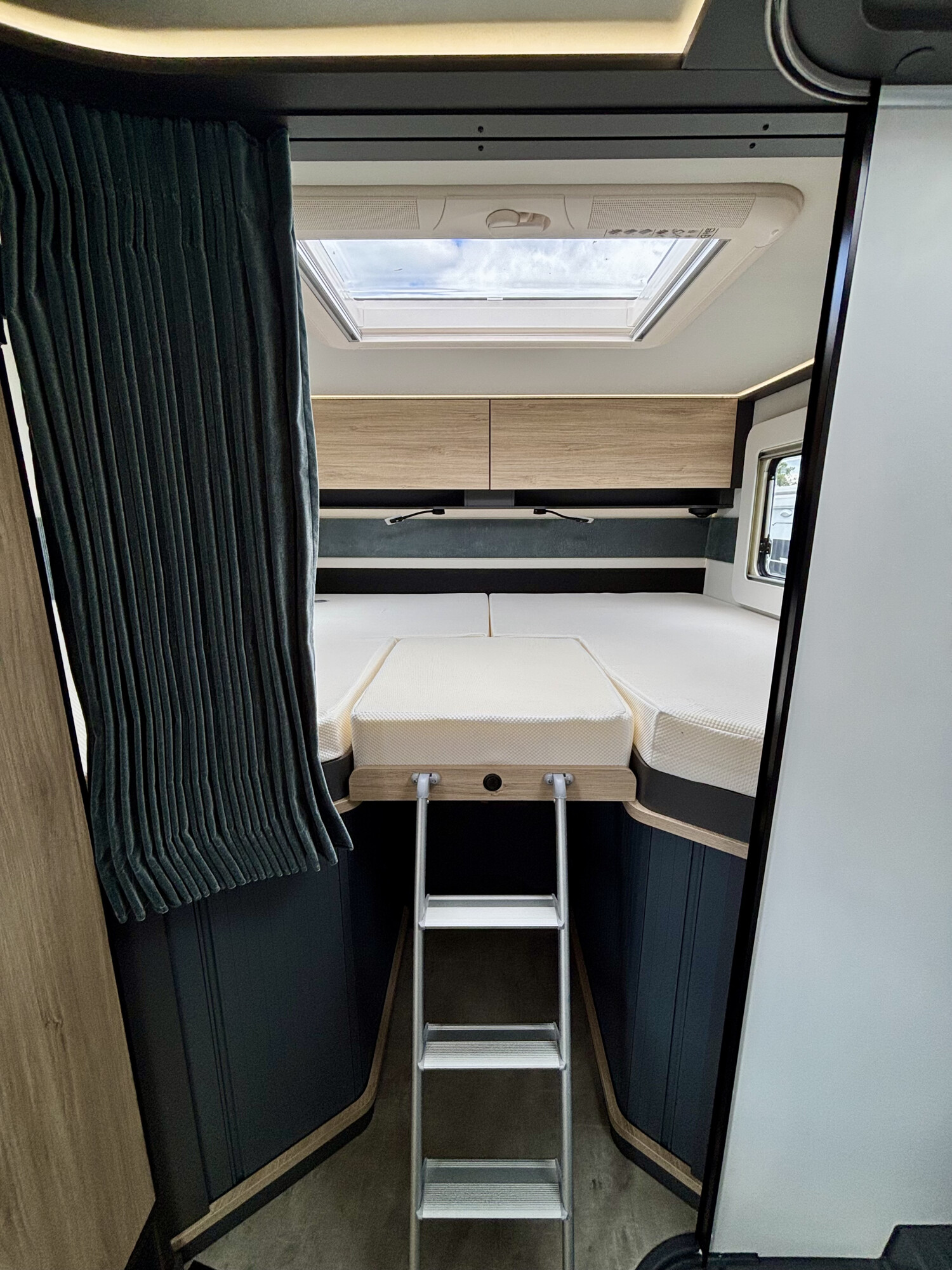 frankia now 7 0 l bett