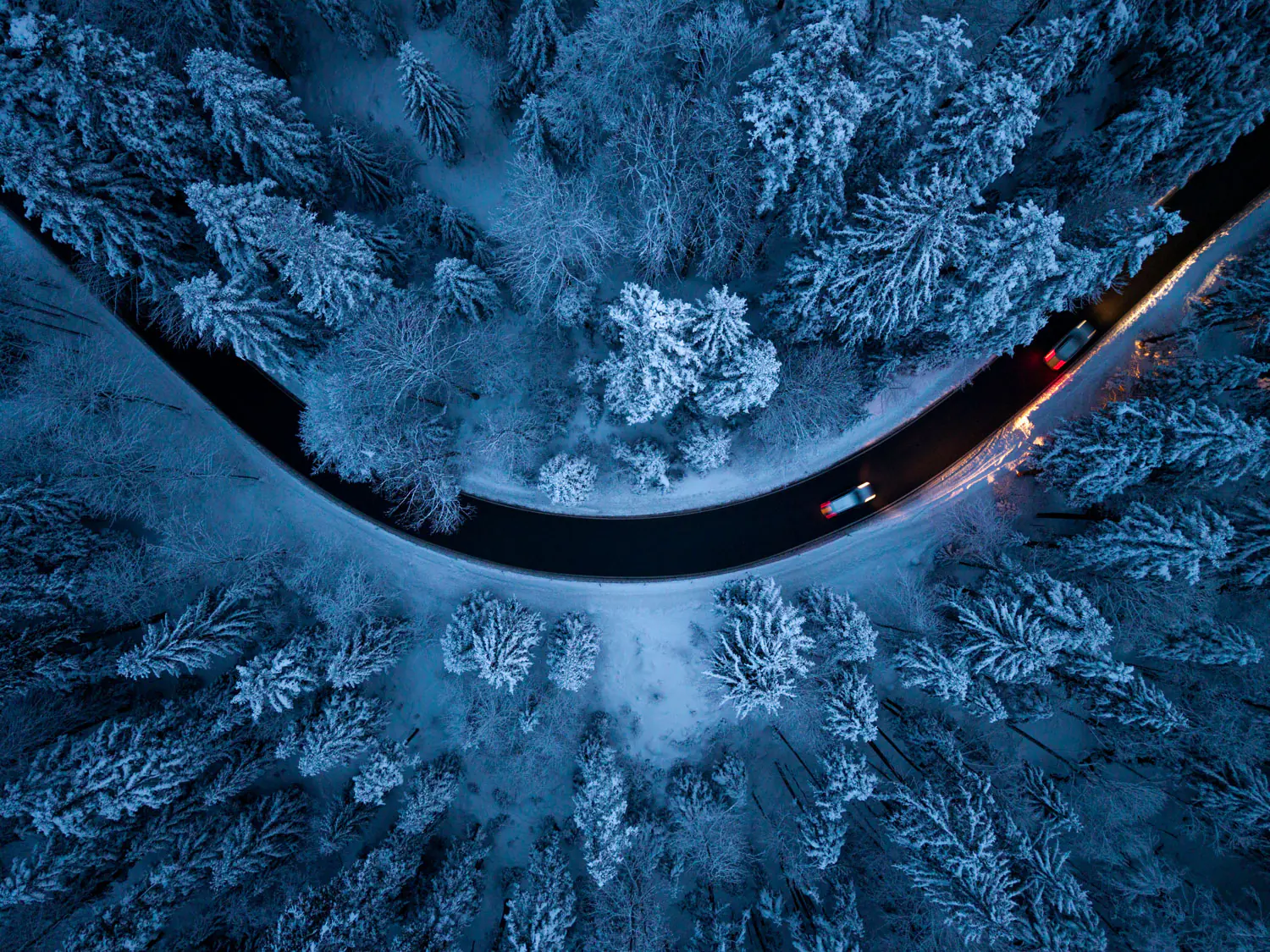 landschaft winter baeume straße